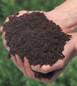 Compost - packaged manure - organic fertilizer sale. – firefood